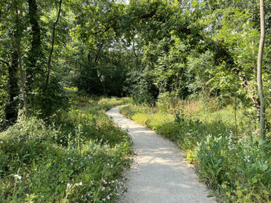 Bois Barrachin